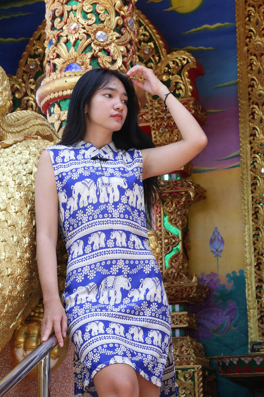 RaanPahMuang Chinese Collar Thai Pattern Serving Girl Sleeveless Sac Dress