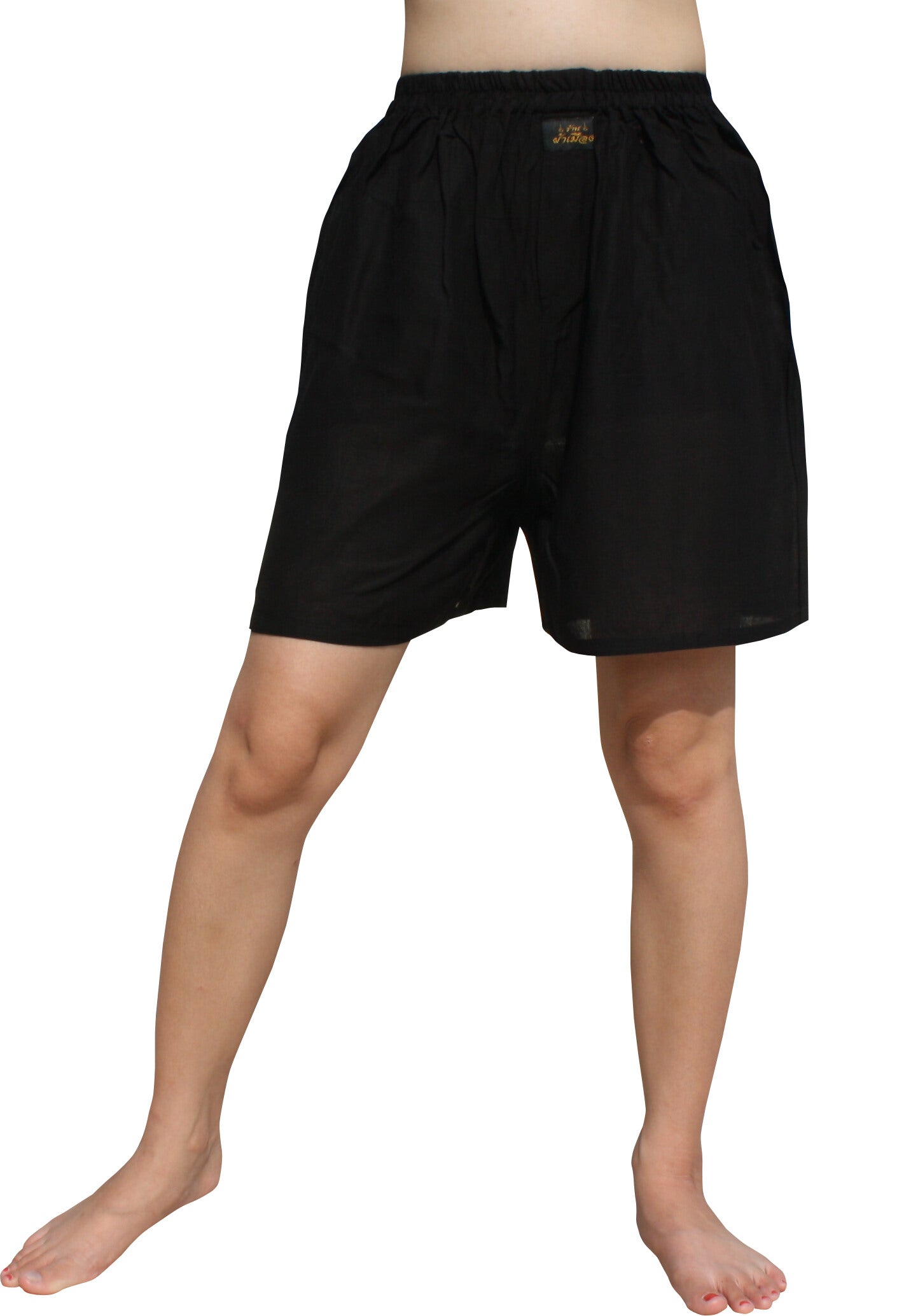 RaanPahMuang Branded Silky Rayon Boxer Shorts Briefs Underwear Loose Boxers